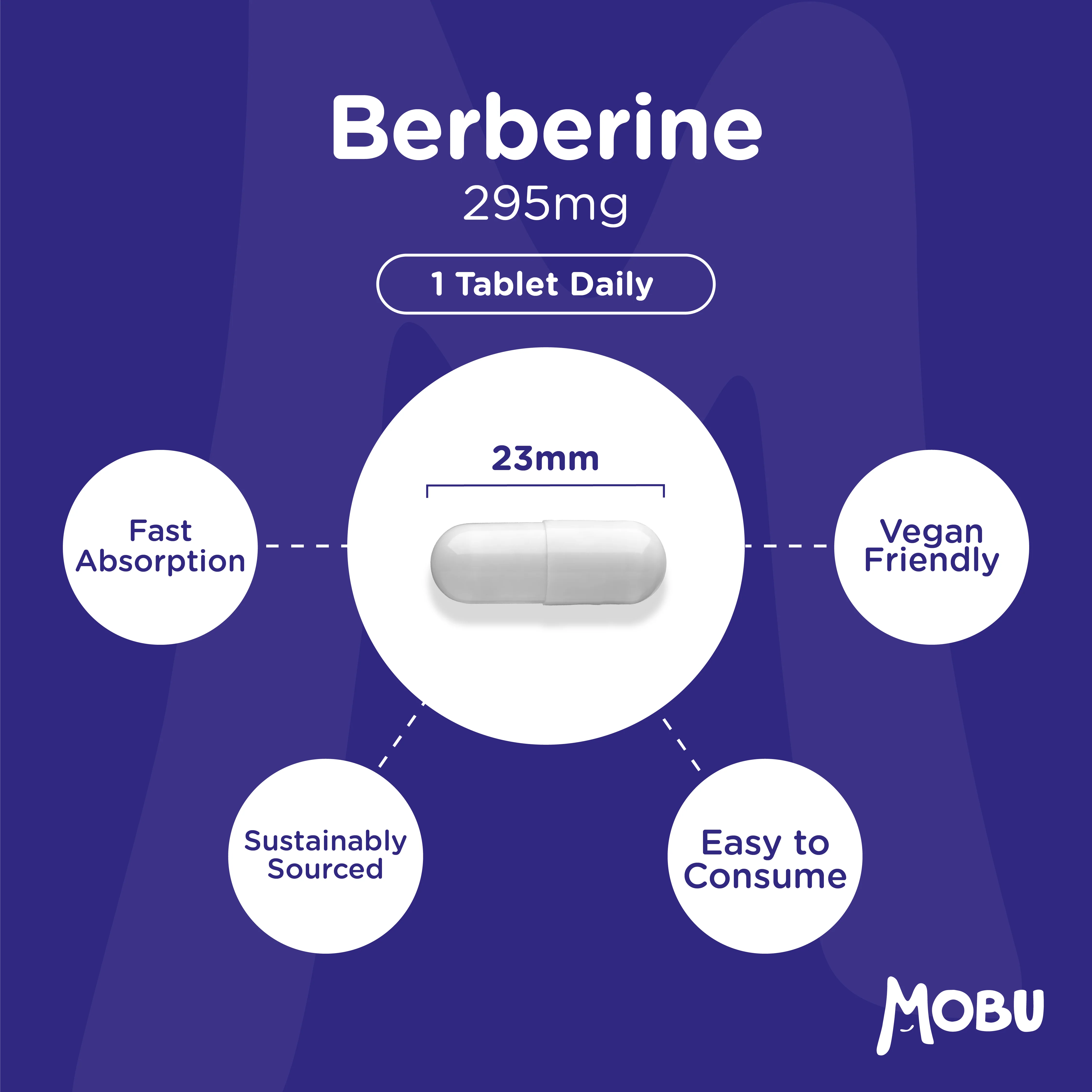 Berberine 295mg - Image 6