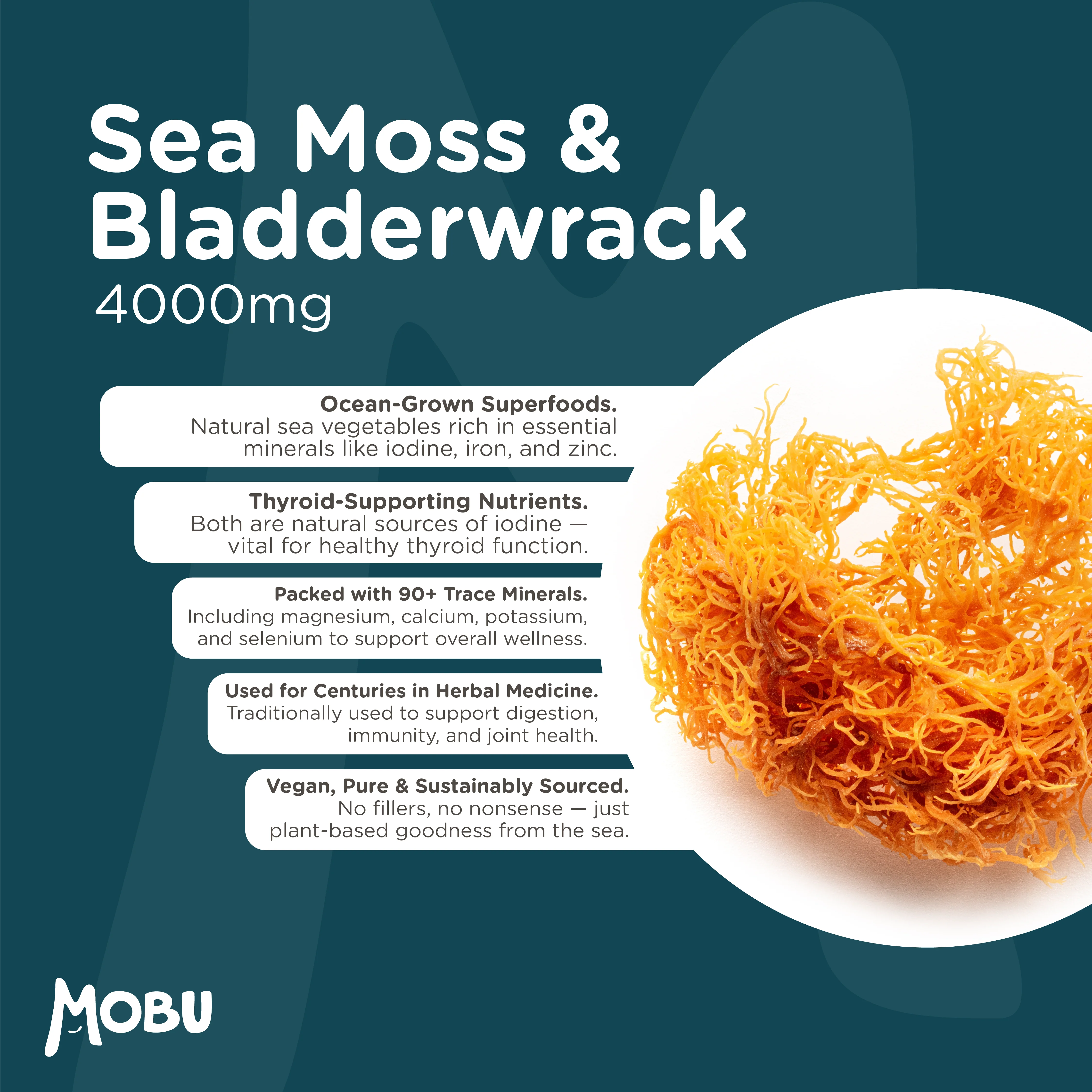 Sea Moss & Bladderwrack - Image 3