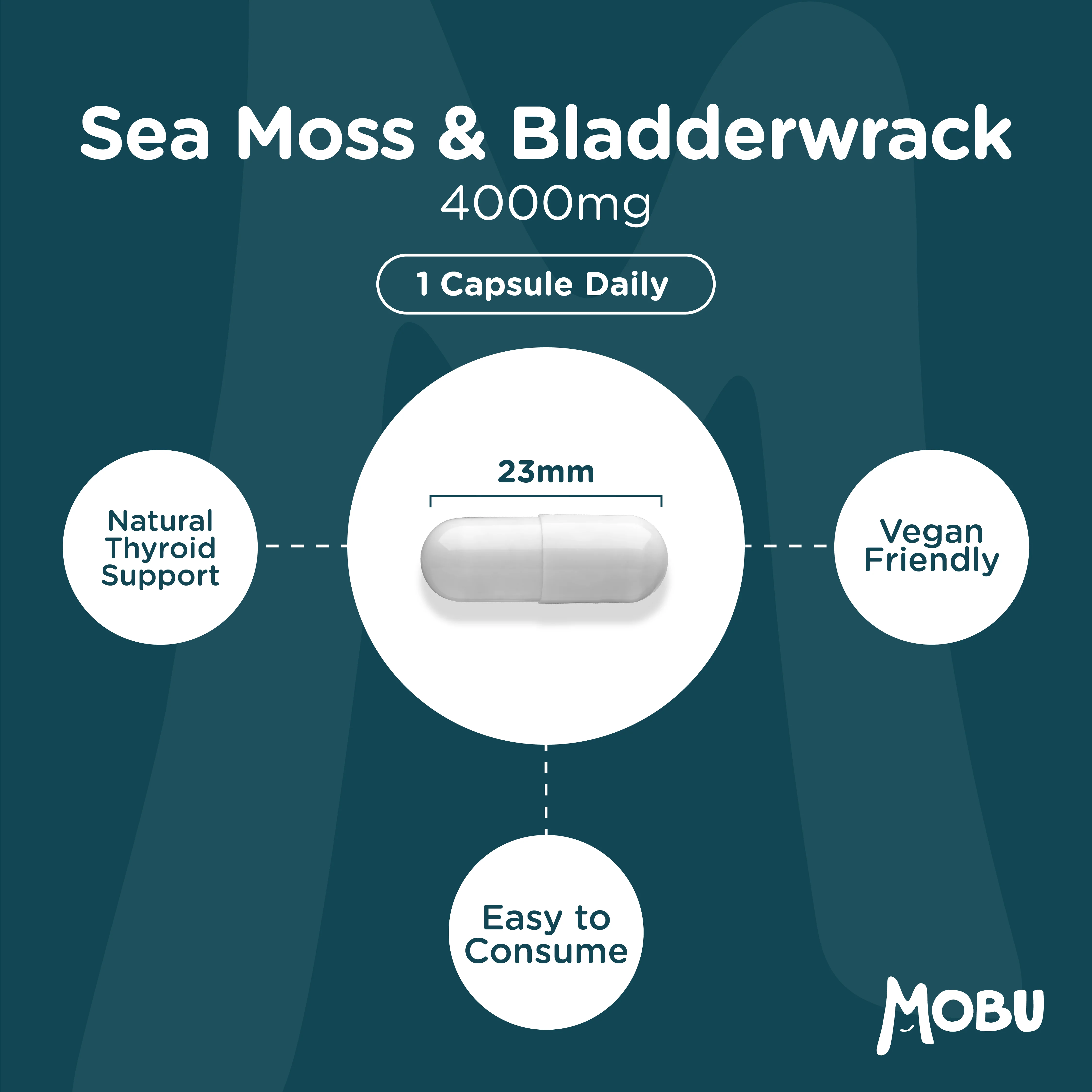 Sea Moss & Bladderwrack - Image 7